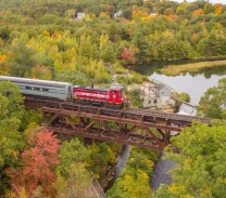 Train on a bridge above water surrounded by green trees.