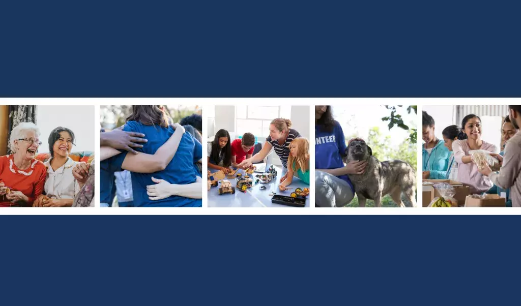 Non-profit and WSB colors