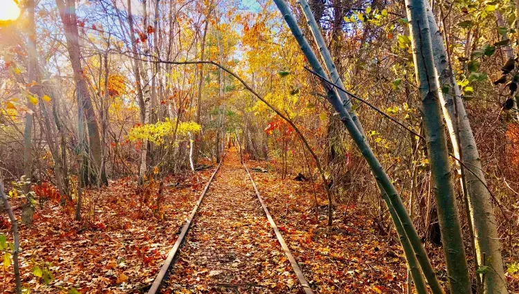 Ethan Smyke, First Place Winner