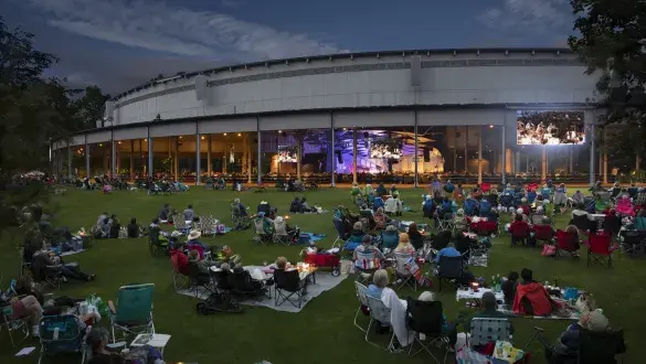 Guests picnicking and watching the concert at Tanglewood