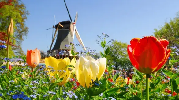Holland