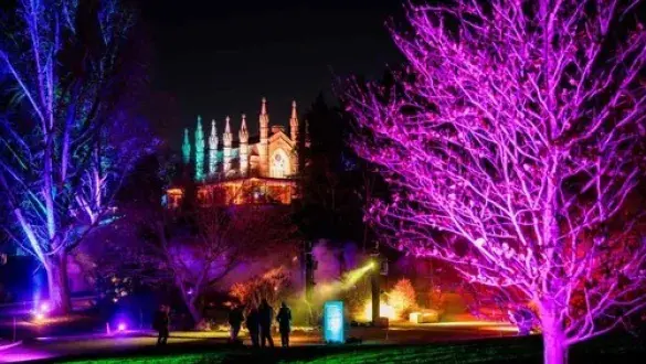 Reflective winter tradition at Mount Auburn.
